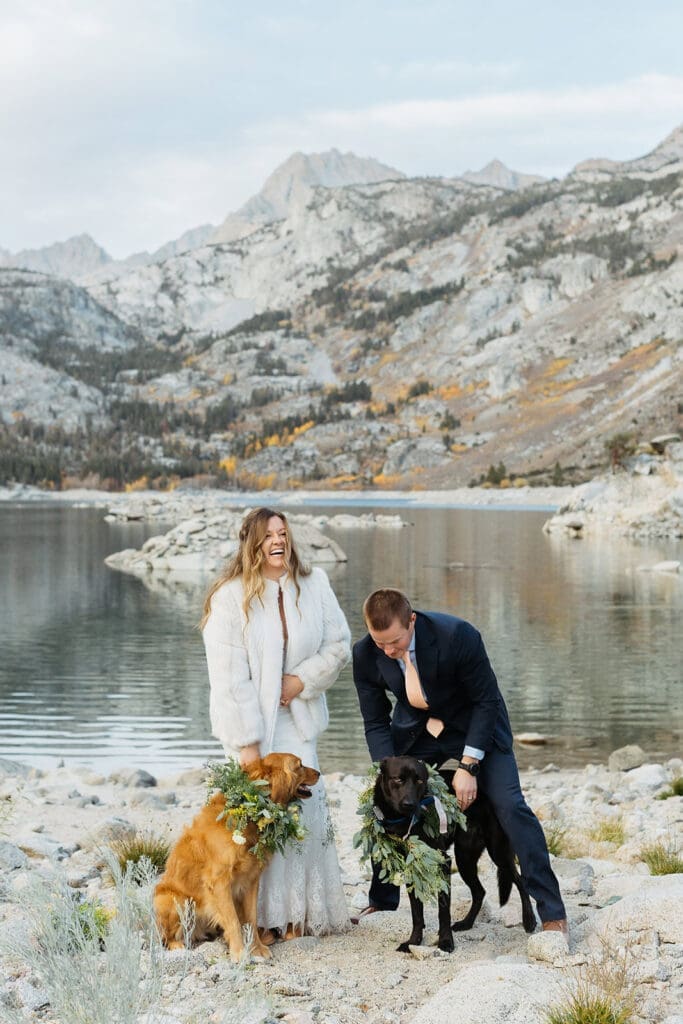 A bride and groom play with their dogs in Inyo national forest