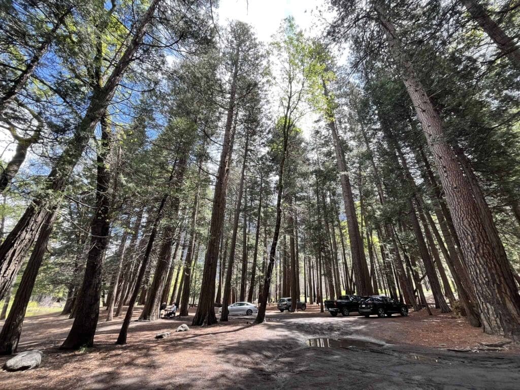Parking area at cathedral beach
