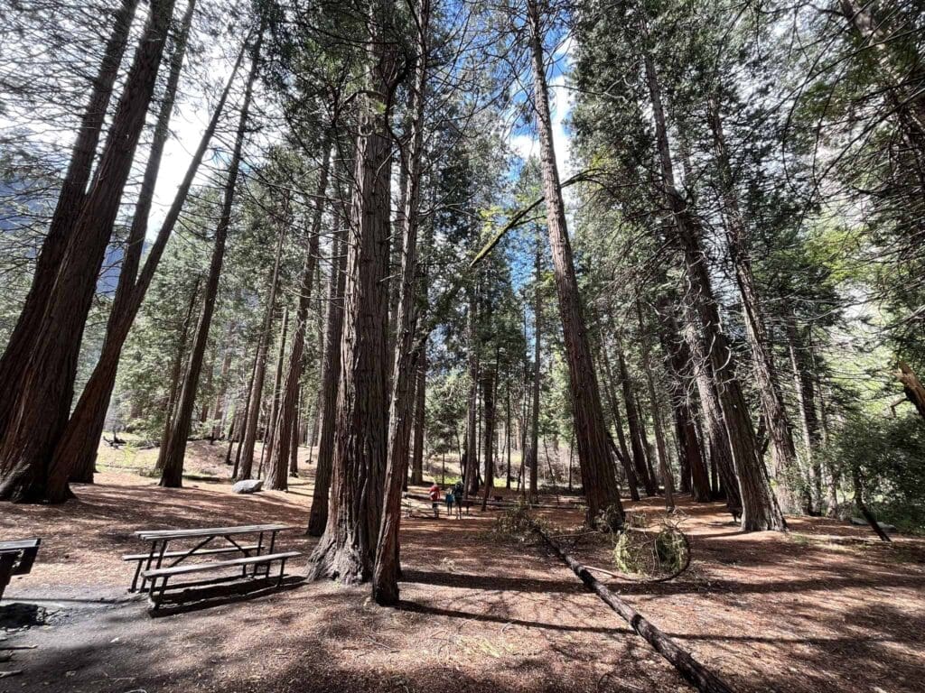 open area for picnic reception at Cathedral beach