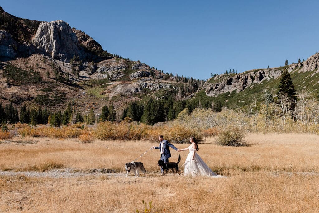 A bride and groom walk their dogs on their Mammoth Lakes Wedding day.