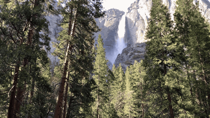 View of Yosemite Falls from the designated wedding ceremony site.