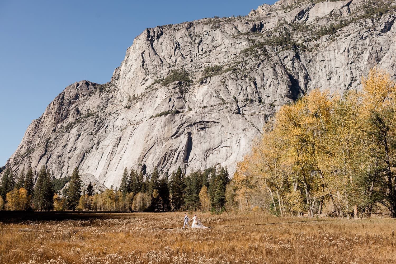 A bride and groom walk in a yosemite valley full of fall colors.